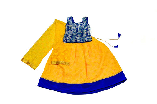 Designer Girls Lehenga Choli Set, Indian Kids Dresses, Designer Lehenga Blouse, Girls Lehenga Choli, Kids Outfits, Baby Girls Lehenga