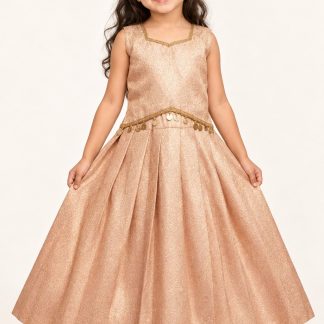 Kids Indian Traditional Festive Wear, Baby Pink Banarasi Silk Girls Lehenga Choli, Pattu Pavadai — front view