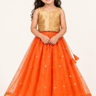 Kids Orange Lehenga Choli, Readymade Girls Indian Ethnic Wear, South Indian Pattu Pavadai — front view